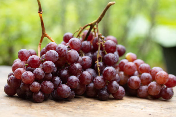 istock small purple grapes piled on a wooden table 1338028868