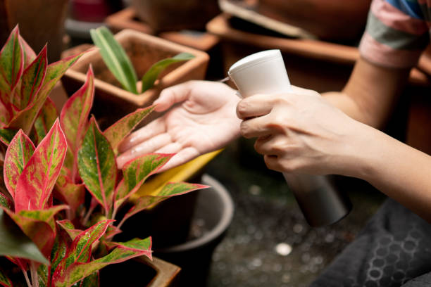 istock Tree shop inside the house and real employees 1338029219