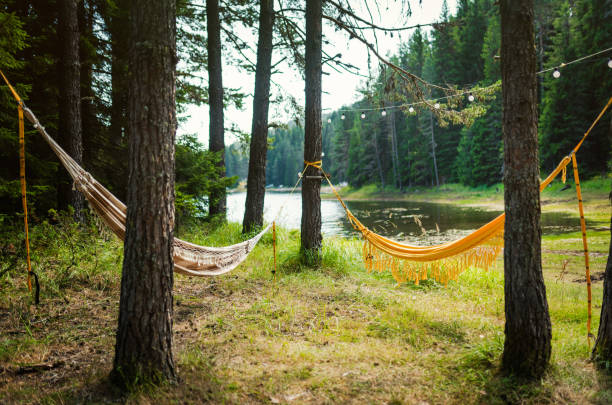 istock Summertime and the living's easy 1338031133