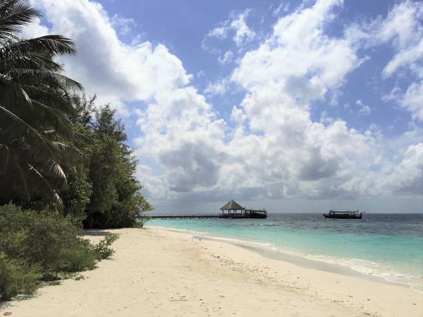 istock Typical Maldivian landscape with wooden pier 1338032222