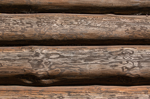 Log wall of a dark wooden blockhouse house close-up.