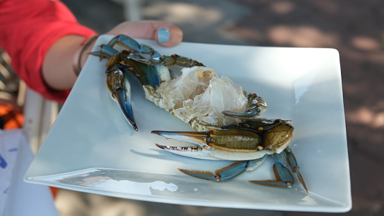 uncooked blue crab on plate