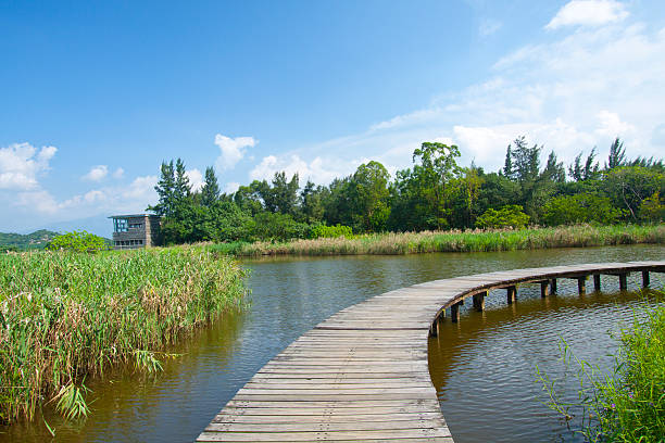 istock Hong Kong Wetland Park 133804051