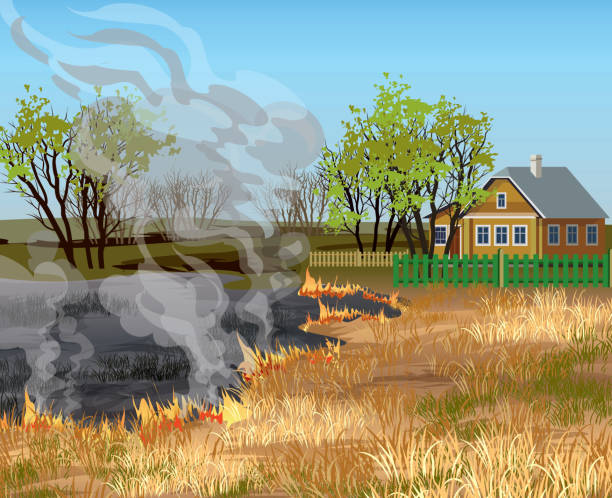 ilustraciones, imágenes clip art, dibujos animados e iconos de stock de fuego en el campo. campo de hierba seca en llamas cerca de la ilustración vectorial de la casa del pueblo. - wildfire smoke