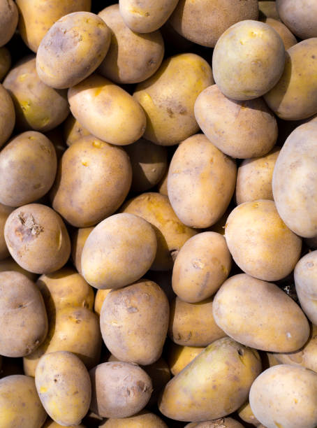 istock Brown potatoes pattern in a market display 1338042483