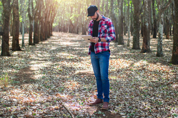 istock Man in a rubber tree plantation. Researcher. 1338048277