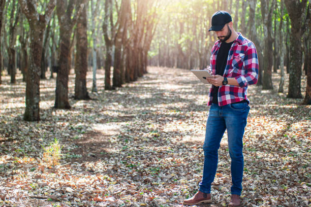 istock Man in a rubber tree plantation. Researcher. 1338048335