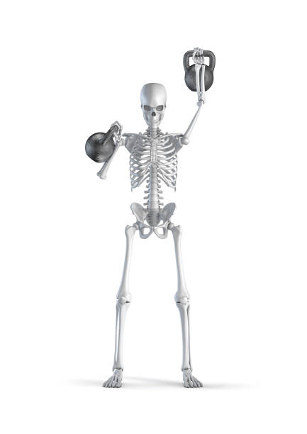 istock Fitness skeleton kettlebell 1338056180
