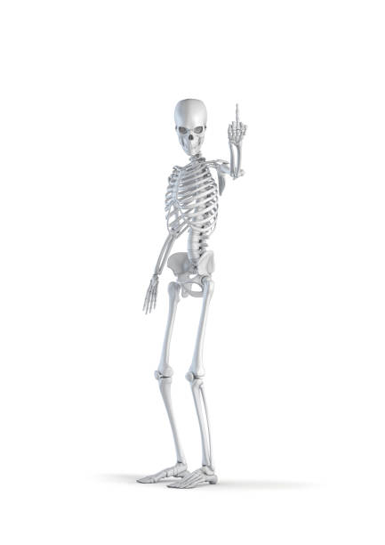 istock Skeleton rude hand sign 1338056185