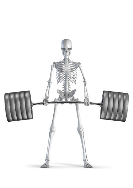 istock Fitness skeleton deadlift 1338056197