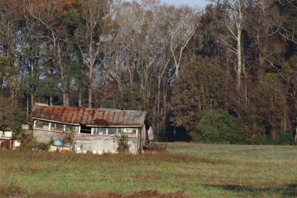 istock Abandoned Shack with Sagging Roof and Broken Windows in Field 1338057996