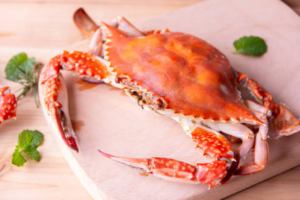 istock boiled crab gourmet, Seafood background 1338058128