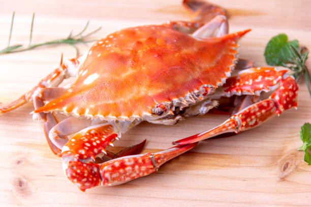 istock boiled crab gourmet, Seafood background 1338058183