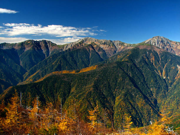 Autumn in the South Japanese Alps (Shirane-Sanzan) Autumn in the South Japanese Alps (Shirane-Sanzan) larix kaempferi stock pictures, royalty-free photos & images