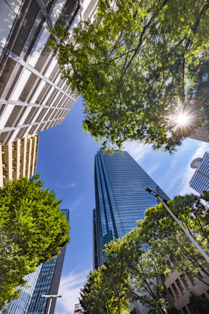 istock Tokyo buildings illuminated by the refreshing morning light 1338060656