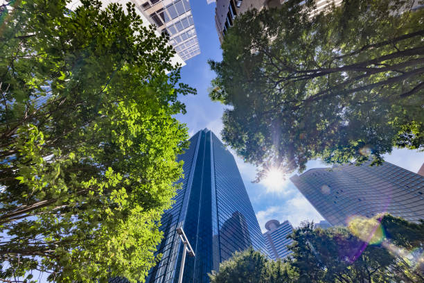 istock Tokyo buildings illuminated by the refreshing morning light 1338060666