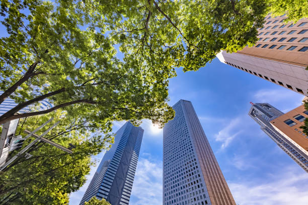 istock Tokyo buildings illuminated by the refreshing morning light 1338060737