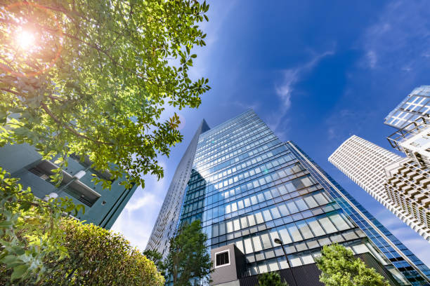 istock Tokyo buildings illuminated by the refreshing morning light 1338060757