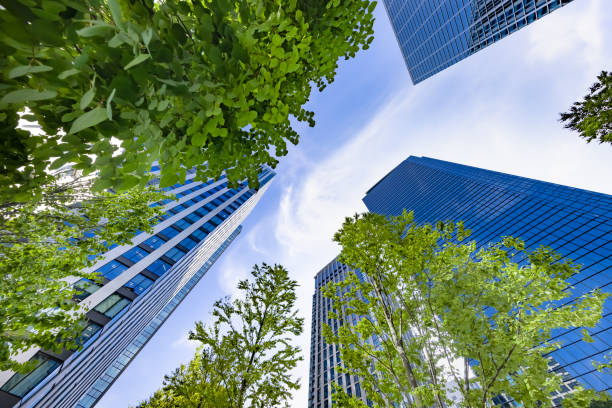 istock Tokyo buildings illuminated by the refreshing morning light 1338060899