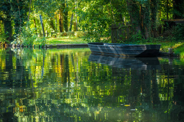 istock Spreewald  - typical forest river landscape in sunlight in autumn with boat 1338064359