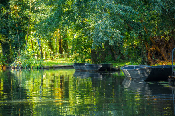 istock Spreewald  - typical forest river landscape in sunlight in autumn with boat 1338064416