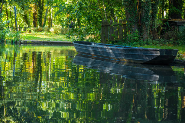 istock Spreewald  - typical forest river landscape in sunlight in autumn with boat 1338065013