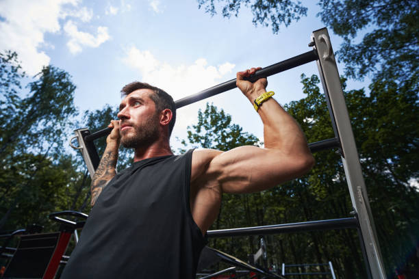 shoulder height