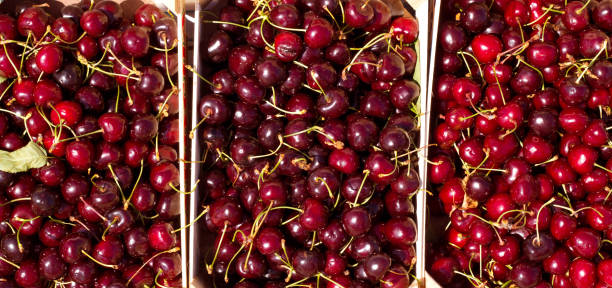 istock Cherry red fruits in wooden baskets 1338070205