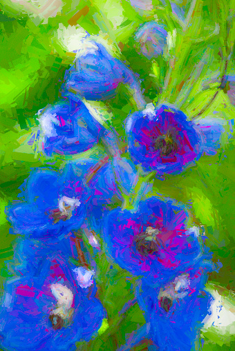 Delphinium in an English country garden.  This image has been post processed to give a painterly effect.