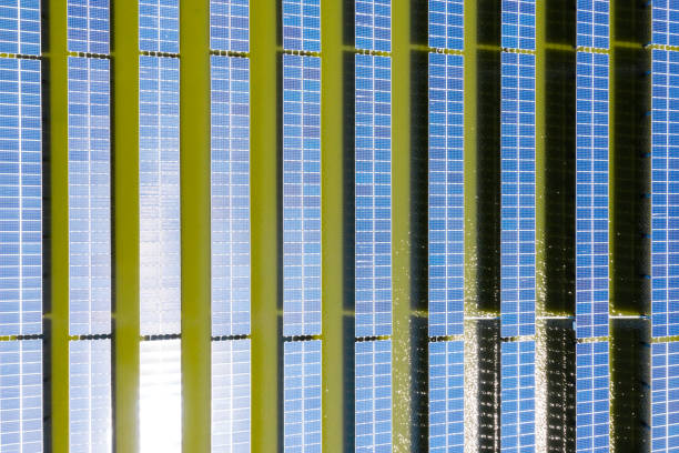 istock Rows of solar photovoltaic panels 1338074405