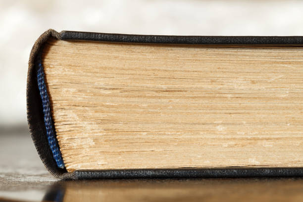 istock Book old, binding rib captal spine, close-up macro view 1338075434