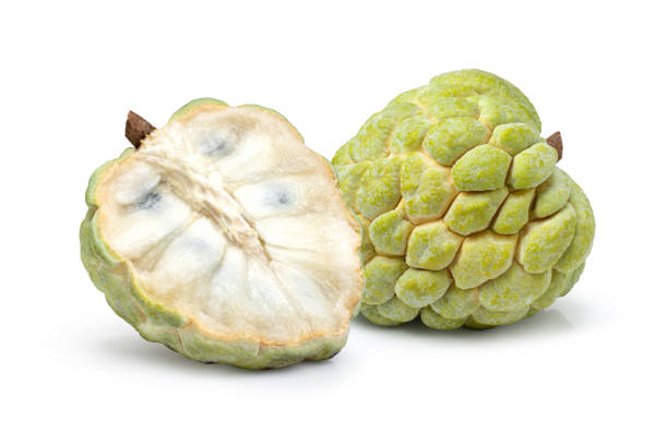 Custard apple (sugar apple, annona, cherimoya fruit) and cut in half sliced isolated on white background. Custard apple (sugar apple, annona, cherimoya fruit) and cut in half sliced isolated on white background. annonaceae stock pictures, royalty-free photos & images
