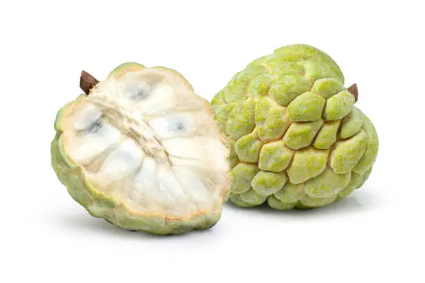 Photo of Custard apple (sugar apple, annona, cherimoya fruit) and cut in half sliced isolated on white background.