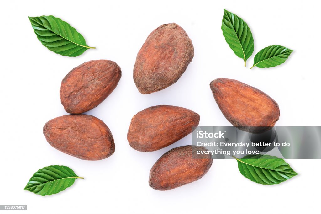 Cocoa or cacao beans Cocoa or cacao beans  isolated with green leaf on white background. Top view. Hot Chocolate Stock Photo