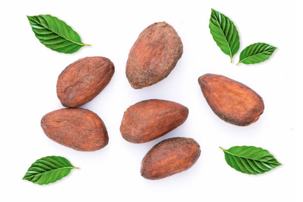 Cocoa or cacao beans Cocoa or cacao beans  isolated with green leaf on white background. Top view. cocoa bean stock pictures, royalty-free photos & images