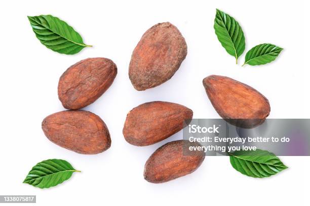 Cocoa Or Cacao Beans Stock Photo - Download Image Now - Hot Chocolate, Cacao Fruit, Cocoa Bean