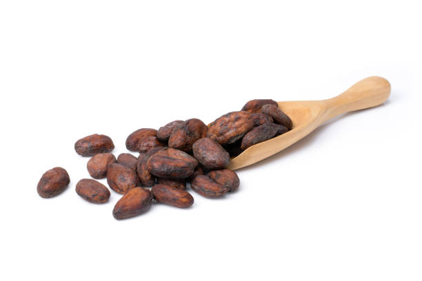 cacao o granos de cacao - bean macro brown roasted fotografías e imágenes de stock