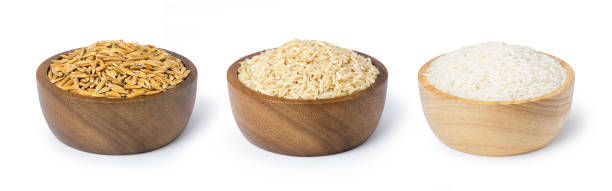 set di riso crudo; risone, riso integrale grossolano e riso bianco al gelsomino tailandese in ciotola di legno isolata su bianco - clipping path rice white rice basmati rice foto e immagini stock