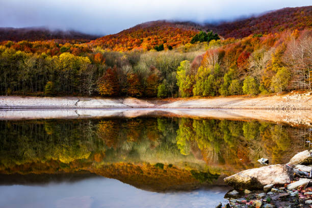 Colorful autumn forest landscape in Montseny in Barcelona, with its ocher, orange, brown, red, yellow and green colors. Forest reflected in the lake.