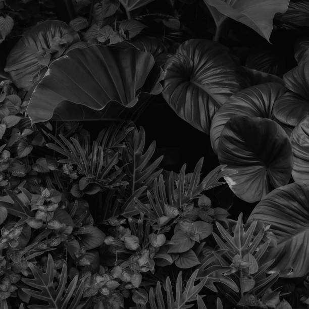 istock tropical leaves, abstract green leaves texture, nature background 1338079398
