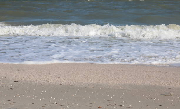 istock Beautiful seascape with waves and sea foam 1338082045