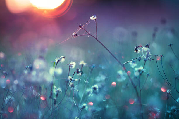 Blurred Bright Autumn Background. Abstract Colorful Bokeh