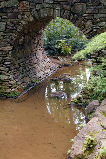 istock Woodland Garden 1338087727