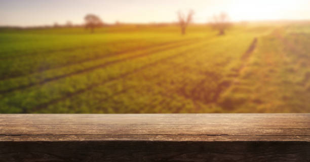 istock A wooden table top product display with a blurred background scene. 1338088025