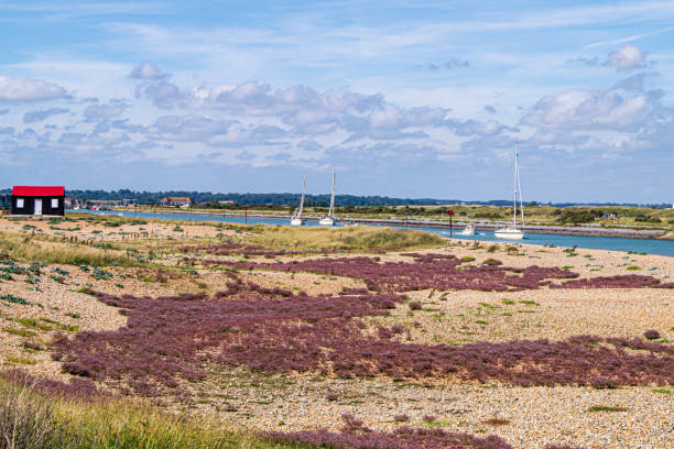 Red Roofed Hut and Yachts