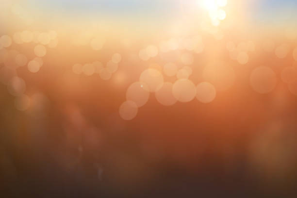 istock An autumnal blurred abstract background 1338088746