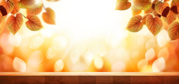 istock A wood table, tabletop product display with a golden autumn sunset and leaf background 1338088811