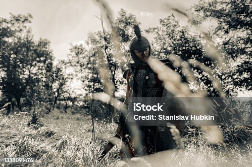 istock Ancient Spartan warrior in battle dress stands on meadow with shield and sword. 1338091476