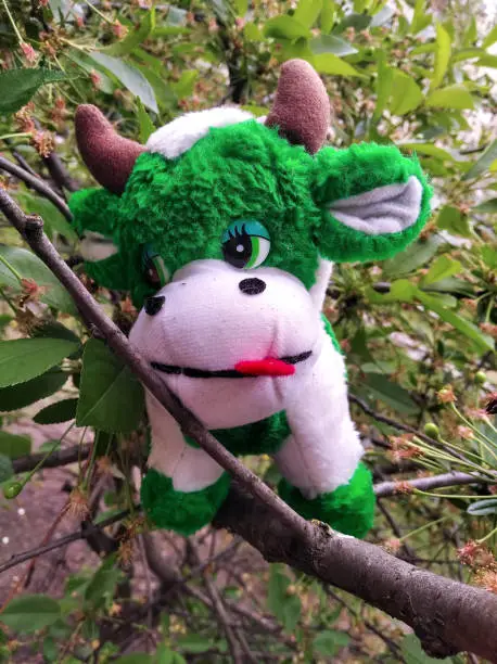 A cute stuffed toy cow on a tree