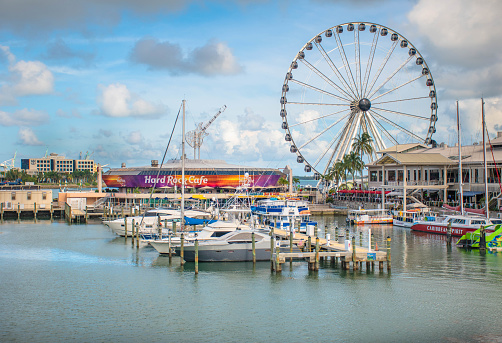 Miami , Florida. June 28, 2021. Panoramic view of Skyviews Miami Observation Wheel and Hard Rock Cafe in Bayside Marketplace area (4